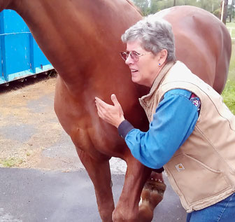 Murray Ohms with Khruise